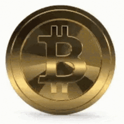 Spinning Bitcoin Logo Coin  GIF