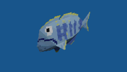 Spinning Cartoon Fish Blue Stripes GIF