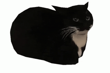 Spinning Cat Dancing Meme GIF