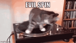 Spinning Cat Evil Spin GIF