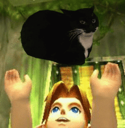 Spinning Cat Floating On Air Boy Below GIF