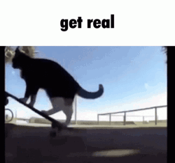 Spinning Cat Get Real GIF