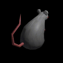 Spinning Chubby Gray Cartoon Rat GIF