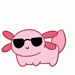 Spinning Crazy Axolotl GIF
