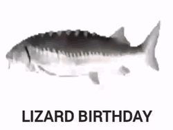 Spinning Fish Lizard Birthday Parody GIF