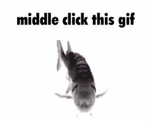 Spinning Fish Middle Click Meme GIF