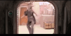 Spinning Jar Jar Binks  GIF