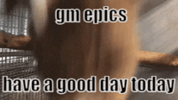 Spinning Monkey GM Epics Meme GIF