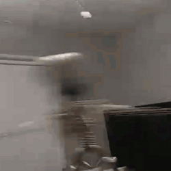 Spinning Quickly Skeleton On Fan Meme GIF