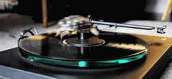 Spinning Turtle On Broken Record GIF