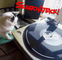 Spinning Vinyl Scratch Spin GIF
