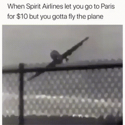 Spirit Airlines Turbulence Meme GIF