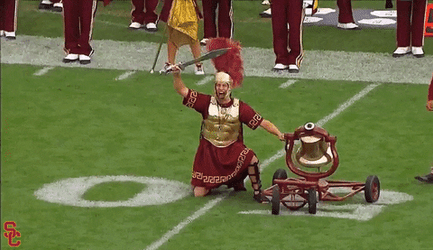 Spirit Of Troy Bruins GIF