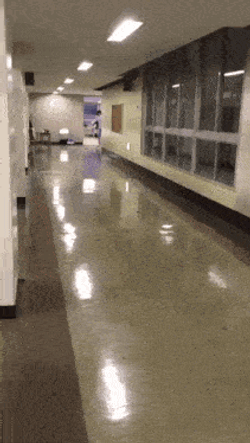 Spirited Away Chase GIF