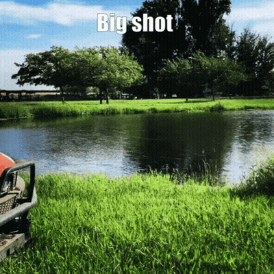 Splatoon Splatoon3 GIF
