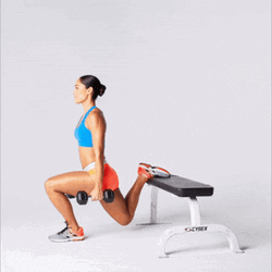 Split Squat Exercise Fitness GIF