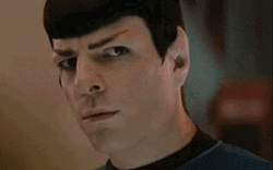 Spock Eye Brow Raise GIF