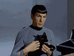 Spock Petting Kitty Black Cat GIF