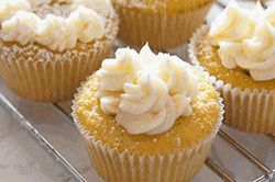 Sponge Cupcake  GIF