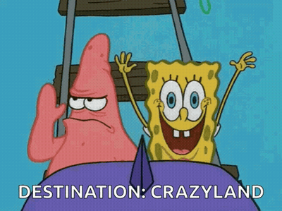 SpongeBob And Patrick On Crazyland Roller Coaster GIF