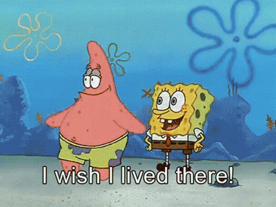 Spongebob And Patrick Standing Together Saying I Wish I Lived There GIF