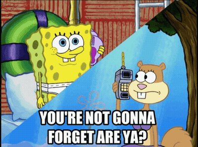 Spongebob And Sandy Cheeks You're Not Gonna Forget Are Ya GIF