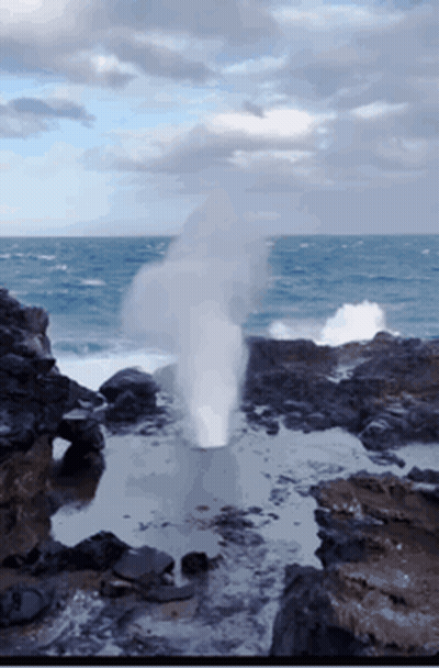 Spongebob And Squidward Standing In Doorway GIF