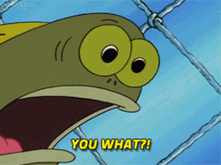 SpongeBob Big Eyes What Meme GIF