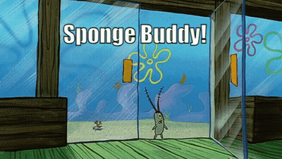 SpongeBob Cartoon Says Sponge Buddy GIF