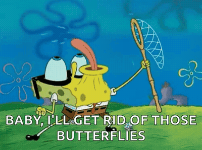 SpongeBob Holding Butterfly Net Saying Baby I'll Get Rid Of Those Butterflies GIF