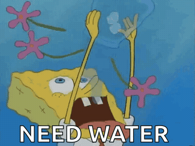 Spongebob Holding Glass Of Water Saying Need Water GIF