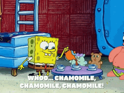 Spongebob Patrick Boston Tea Party GIF