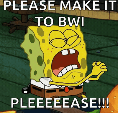 SpongeBob Saying Please Make It To BWI GIF