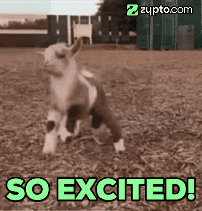 SpongeBob Saying So Excited GIF