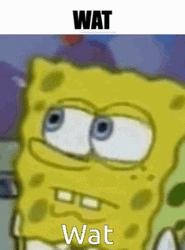 Spongebob Saying Wat  GIF