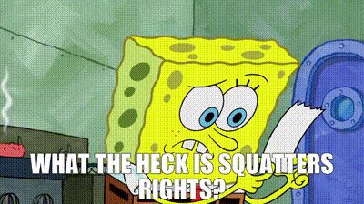 SpongeBob Saying What The Heck Is Squatters Rights GIF