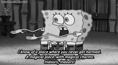 Spongebob Says I Know Of A Place Where You Never Get Harmed Indoors Indoors GIF