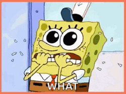 SpongeBob Shocked Terrified What GIF