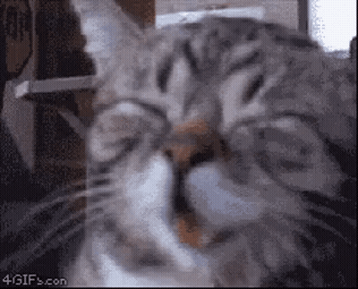 SpongeBob Sitting On Floor Looking Out Window GIF