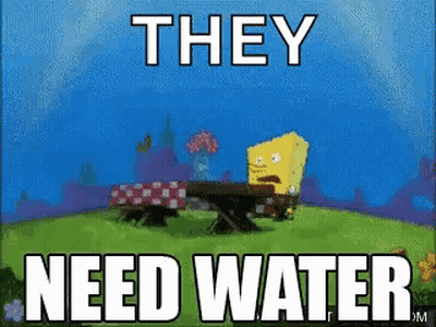 Spongebob Squarepants Is Sitting At A Picnic Table In A Field With The Words `` They Need Water '' . GIF