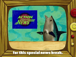 SpongeBob SquarePants News GIF