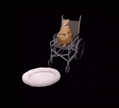 SpongeBob SquarePants Sitting With Coffee GIF