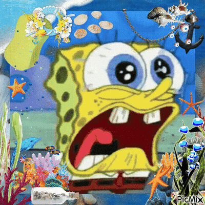 SpongeBob Surrounded By Seashells And Coral GIF