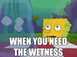 Spongebob The Wetness I Need It  GIF
