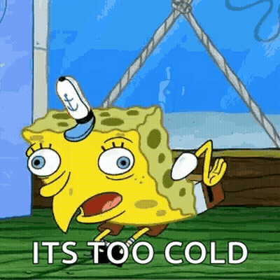 SpongeBob With Bird Head Saying It's Too Cold GIF