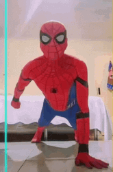 Spooderman Funny Moment GIF