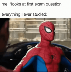 Spooderman Looks At First Exam Question GIF