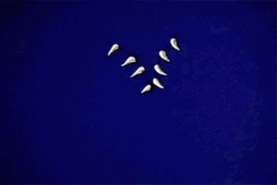 Spooky Scary Skeletons Ripping Paper GIF