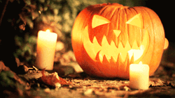 Spooky Tuesday Candle Pumpkin Night GIF