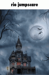 Spooky Wednesday Cat GIF